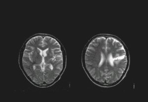 �O������